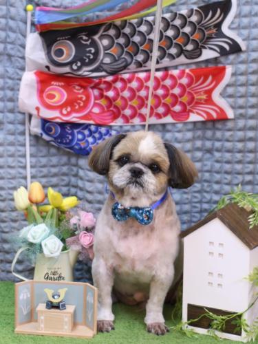 20230517ココロくん